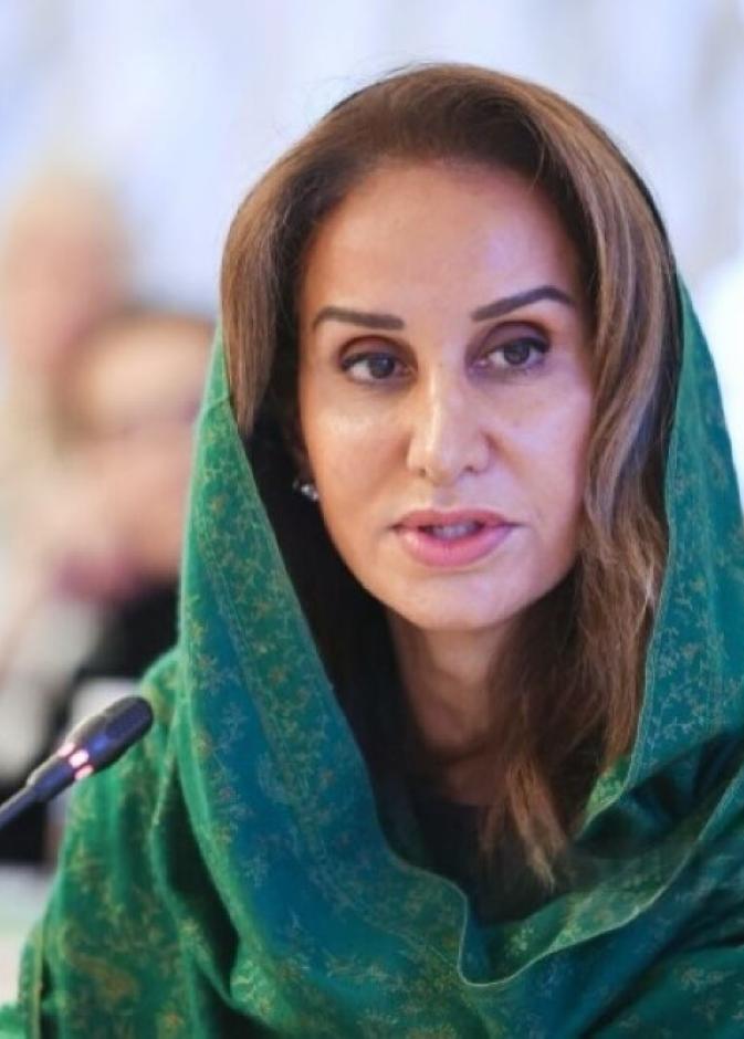 الأميرة الدكتورة مها بنت مشاري بن عبدالعزيز - الصورة من حساب مشاريع السعودية