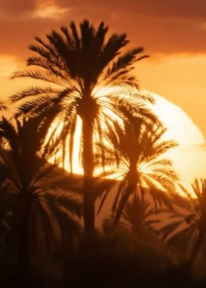 اليوم الوطني السعودي.. “تطول الشمس” أغنية وطنية جديدة بصوت ماجد المهندس وكلمات الأمير سعود بن عبدالله ألحان سهم