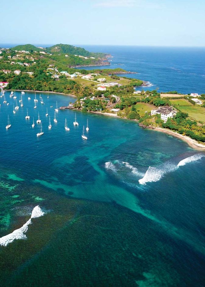 جزر توباغو كايز، سانت فنسنت وجزر غرينادين Tobago Cays, St. Vincent & the Grenadines (2) (1)