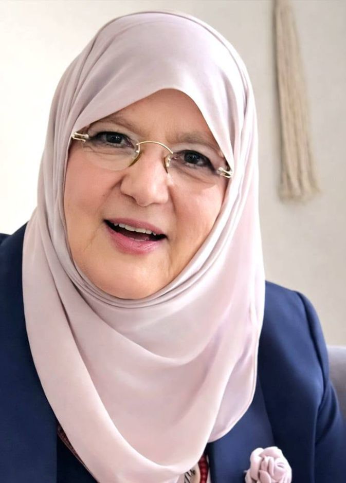 شمس البارودي 