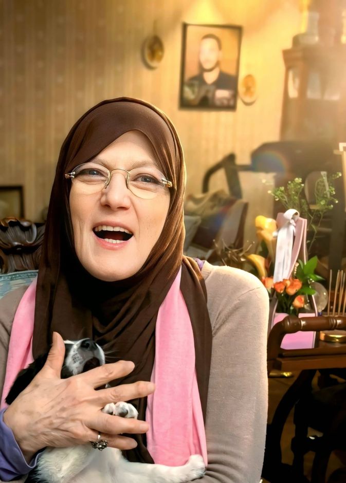 شمس البارودي 