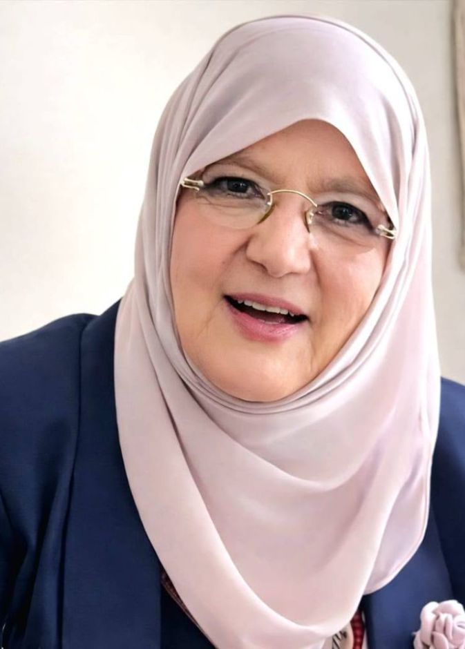 شمس البارودي 