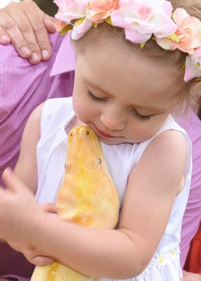 قبلة للثعبان