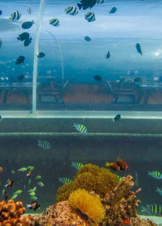 جزيرة "هورووالي"