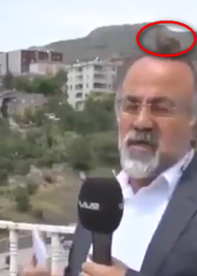 عصفور يستقر فوق رأس مذيع على الهواء