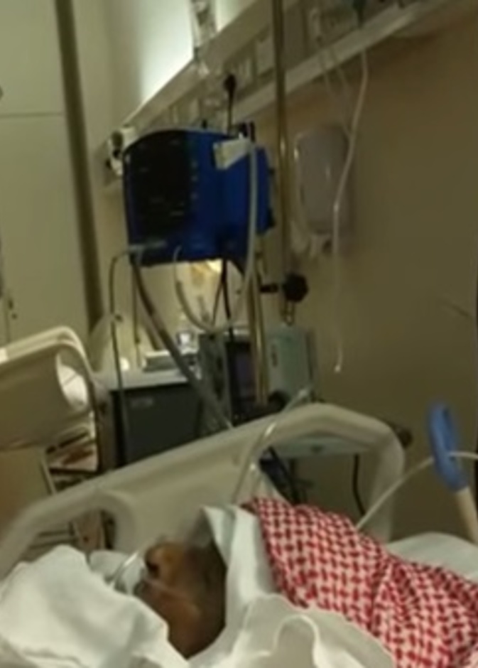 مسن يرفع الأذان وهو في حالة غيبوبة