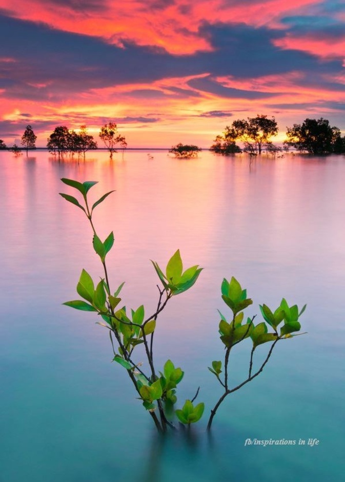 داروين.. درة الجنوب الأسترالي