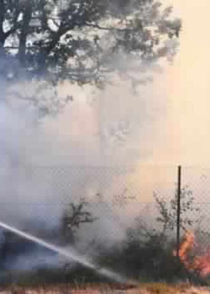 الحرائق تلتهم 800 هكتار من الأراضي