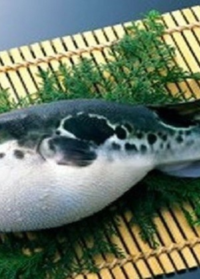 وجبة عشاء تشل عائلة برازيلية