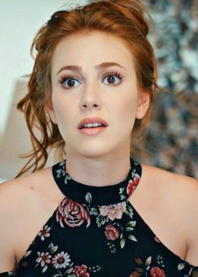 الشين سانجو