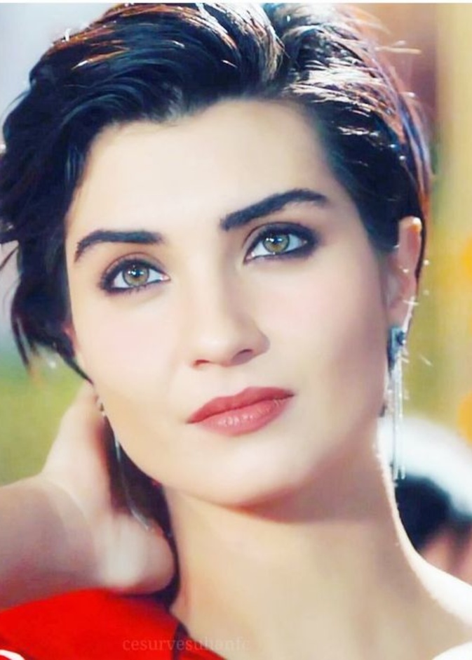 توبا بويوكستون