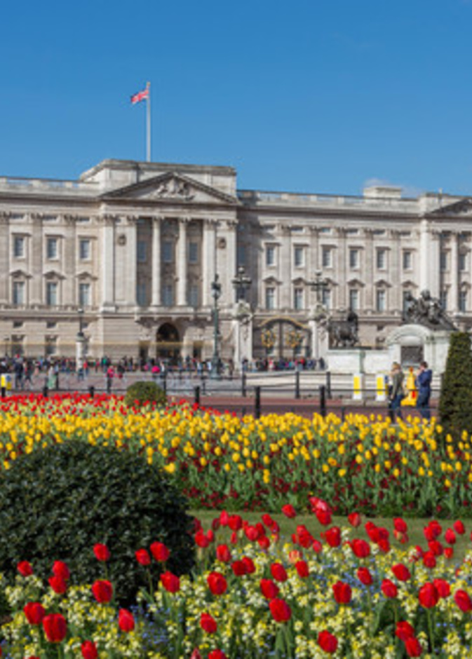 قصر بكنجهام 