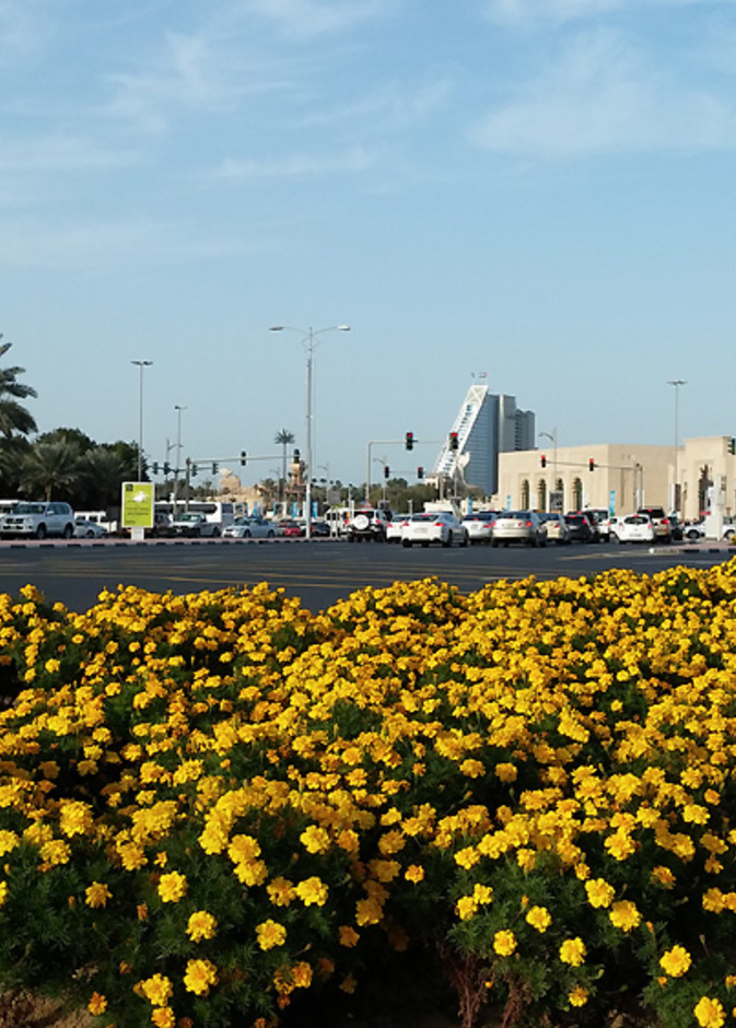 دبي... مدينة الزهور والمساحات الخضراء