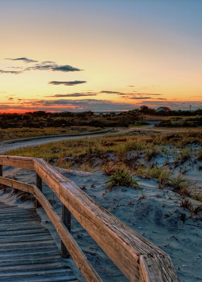FIRE ISLAND