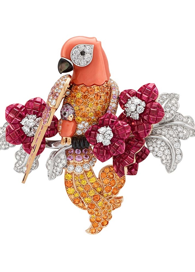 بروش ببغاء من فان كليف اند أربلز من مجموعة مجوهرات  Le Secret 