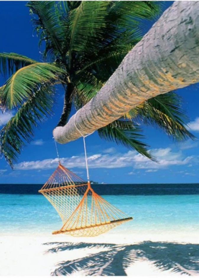 كو ساموي جنة الغوص والتجديف