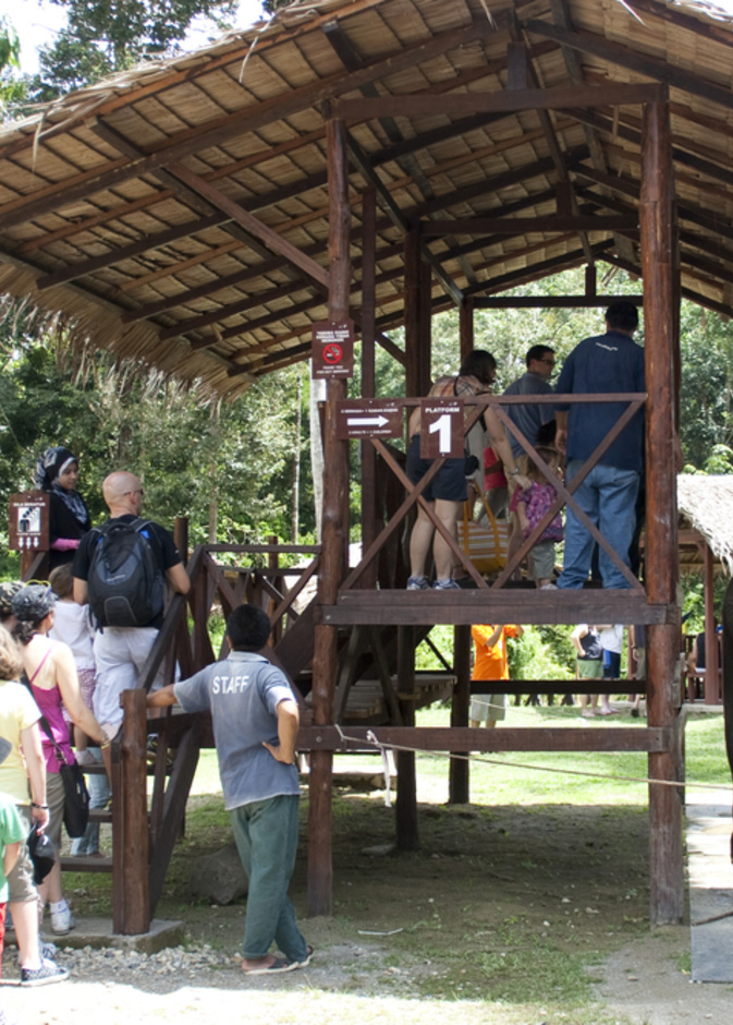 Kuala Gandah Elephant Sanctuary