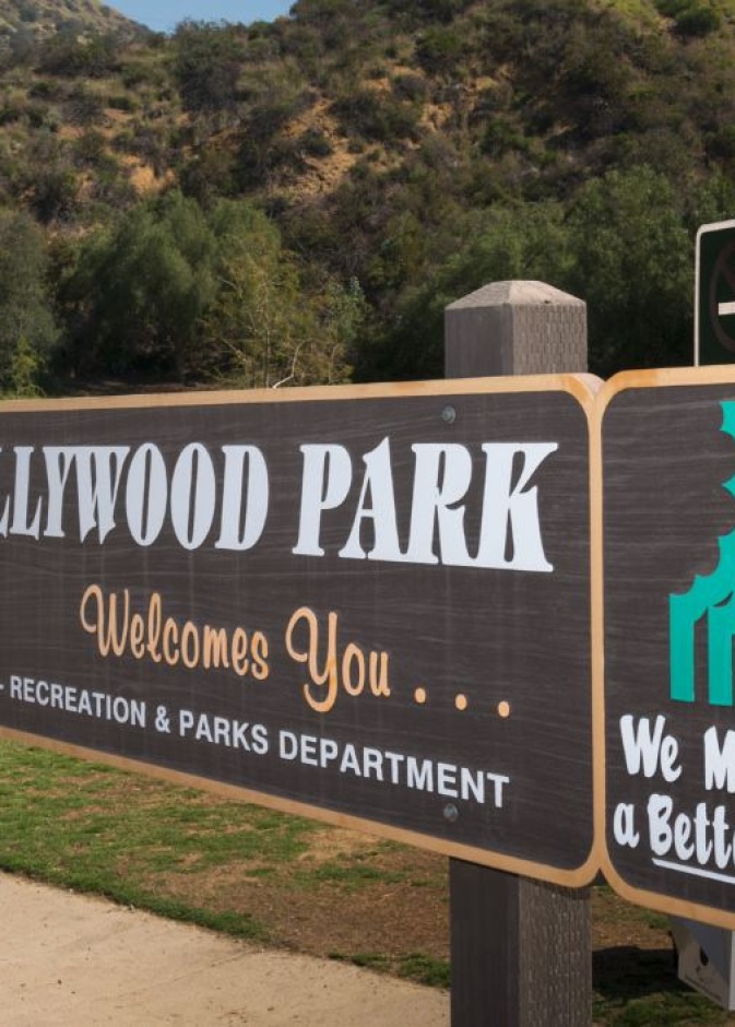 مركز التسوق الشهير The Grove