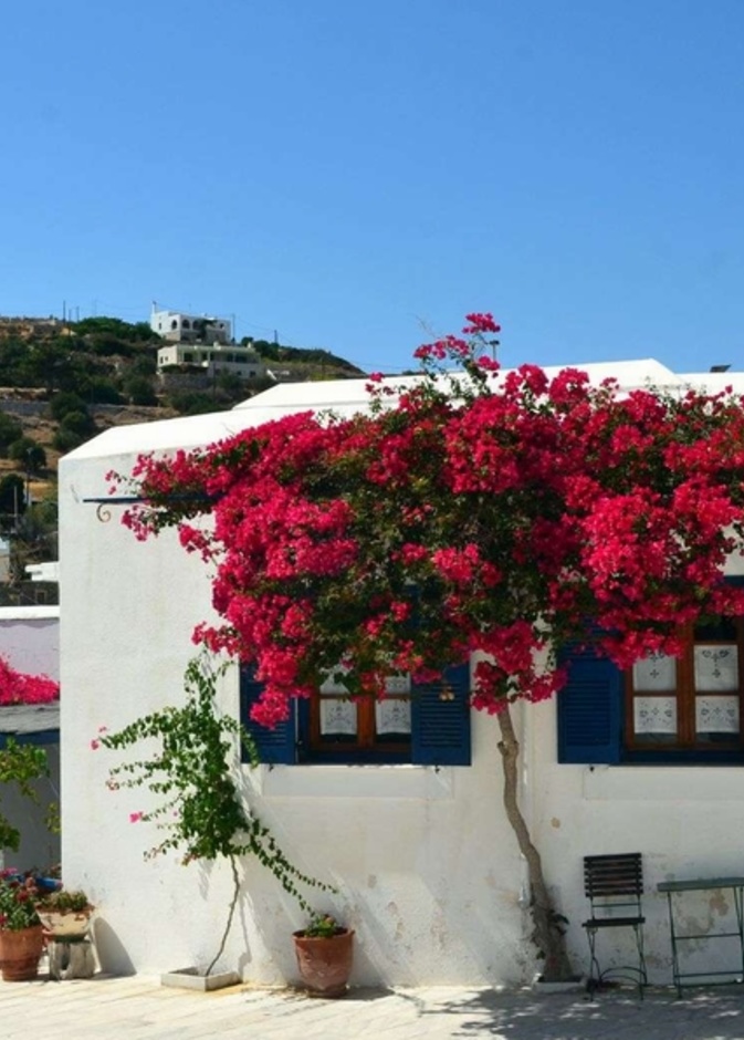 Lefkes واحدة من أجمل قرى مقاطعة كيكلادس
