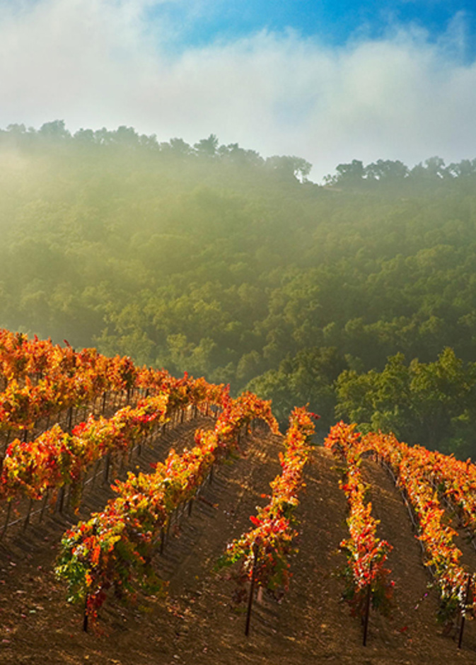لوار فالي Loire Valley، فرنسا