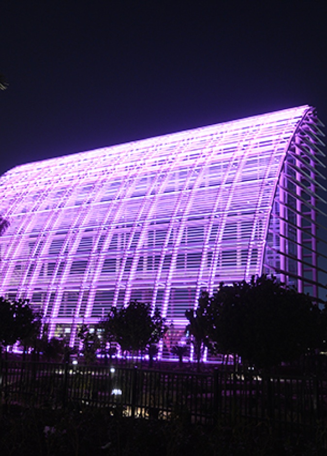 حديقة المشرف المركزية .. درة حدائق أبوظبي