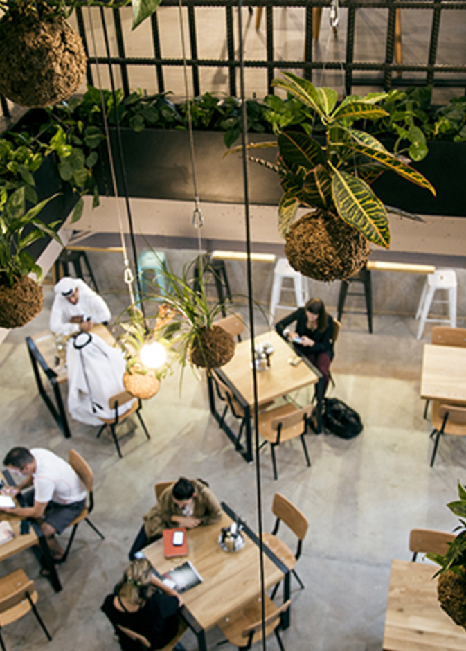 ذا سوم أوف أس