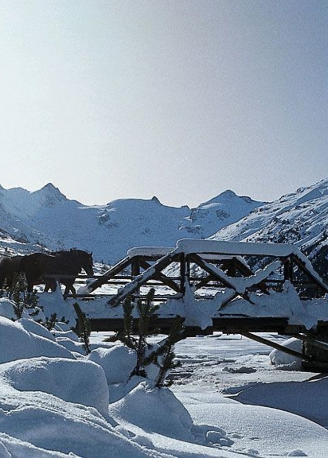 Pontresina سان موريتز - سويسرا