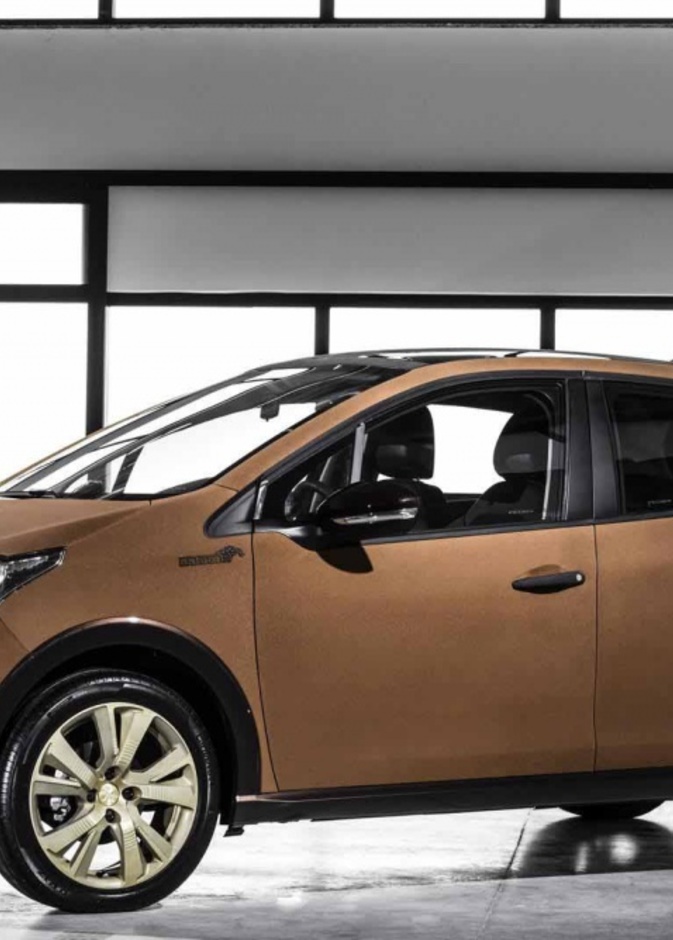 بالفيديو: نماذج فاخرة في معرض ساو باولو للسيارات 