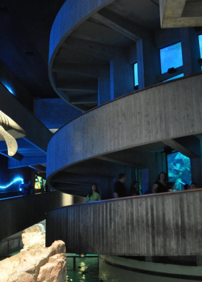 The New England Aquarium