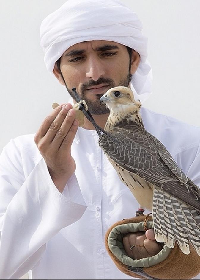 أحدث صورة نشرها الشيخ حمدان بن محمد بن راشد آل مكتوم ولي عهد دبي على صفحته الرسمية عبر انستغرام