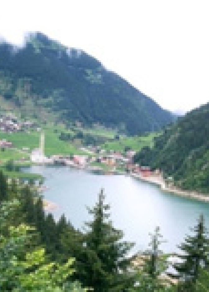 تركيا الوجهة الأساسية للسوريين