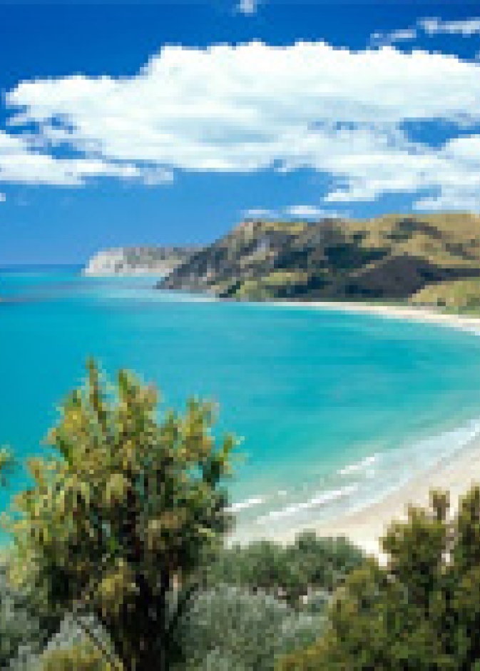  نيوزيلندا ... طبيعة خضراء ساحرة 