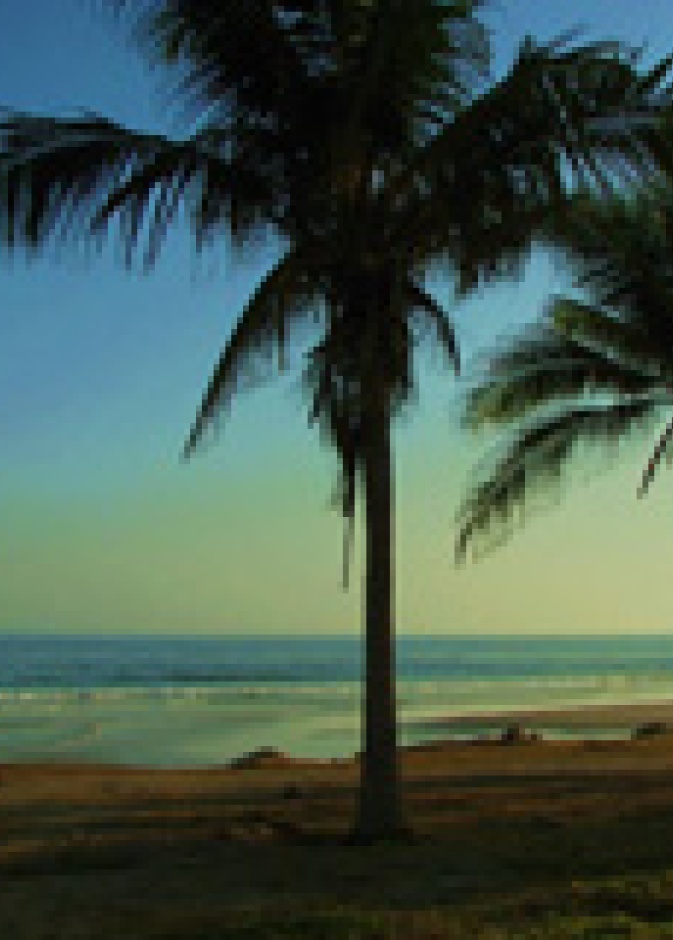 ولاية ضلكوت العمانية.. الجبال الخضراء تعانق زرقة البحر