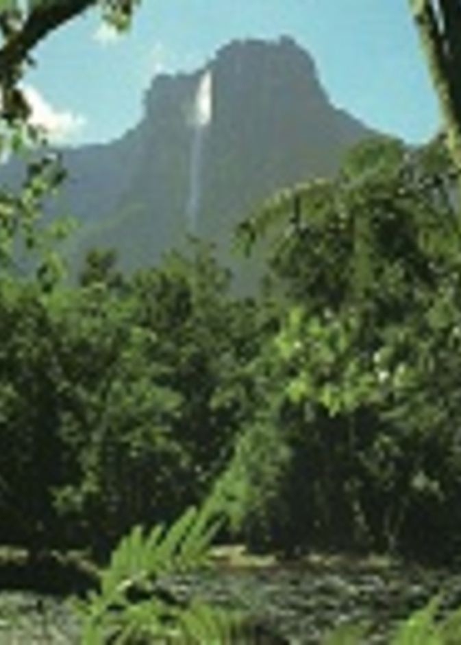 جزيرة بوطينة الاماراتية نحو العجائب السبع