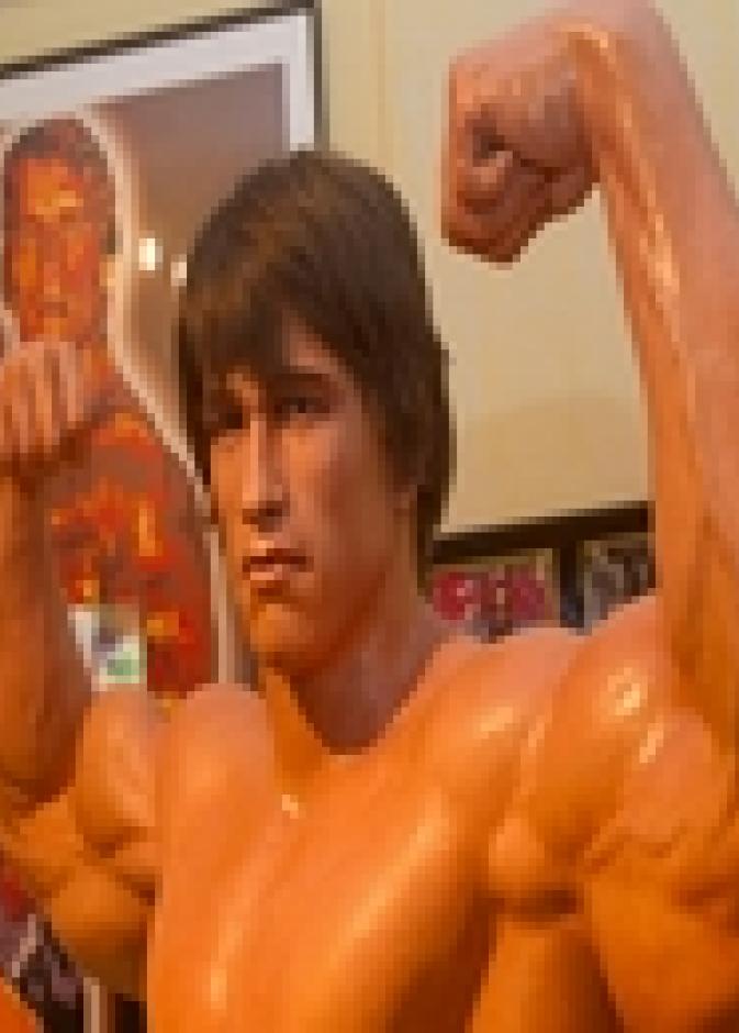 النمسا تفتتح متحفا خاصا لأرنولد شوارزنجر