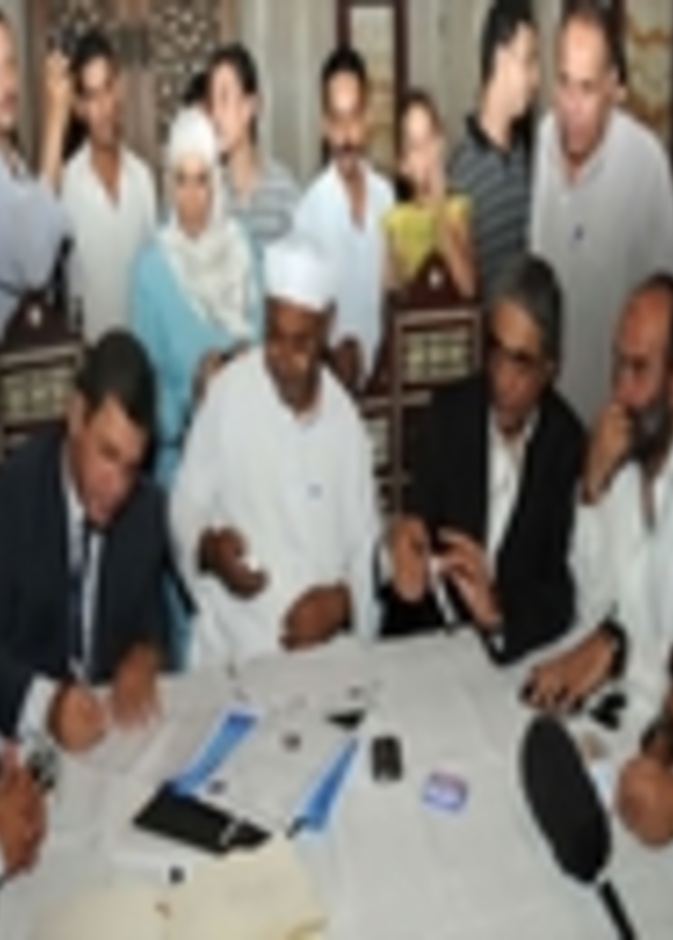 زواج بثينة كامل المرشحة لرئاسة مصر