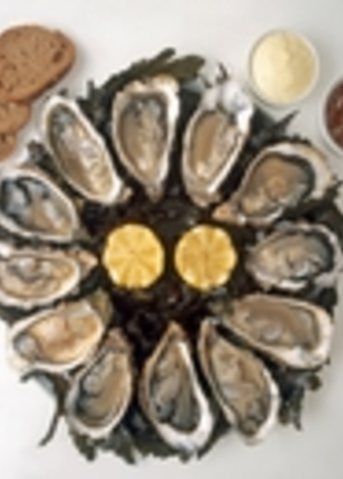 خبز الطحالب وسيلة جديدة لإنقاص الوزن