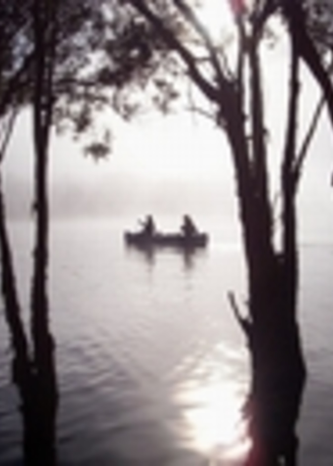 أفضل الأماكن الساحلية بسيدني