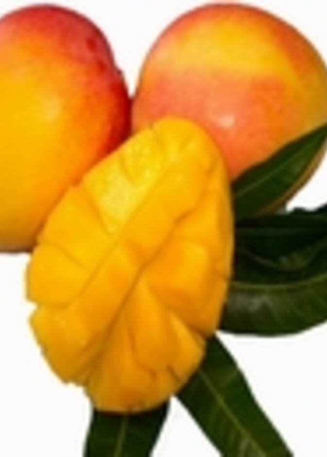 المانغو مثالي للذاكرة والاسترخاء