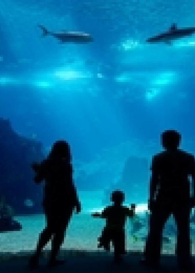 جزيرة سيلت قبلة السياح في ألمانيا