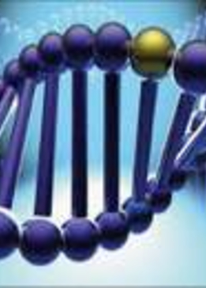 فحوص جينية تساعد أصحاب الحمية الغذائية