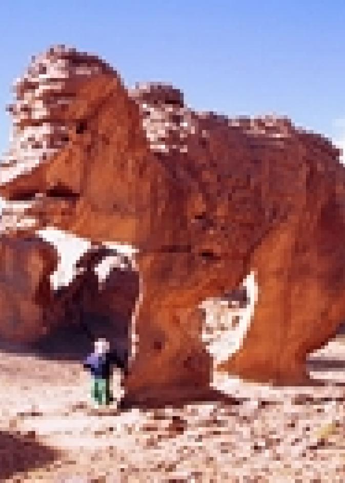 كهوف التاسيلي لغز الكوكب المجهول