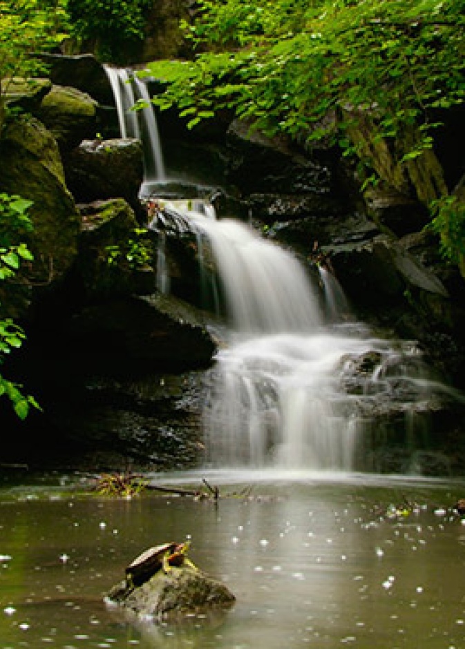 فيديو.. أب سعودي يصور آخر لحظات ابنه قبل الغرق