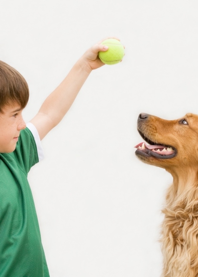 يستخدم البعض الكلاب للعلاج النفسي للأطفال