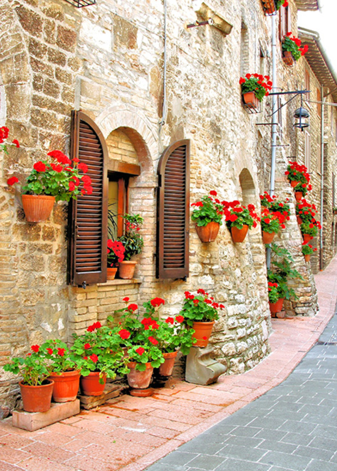 الربيع يلوّن العالم