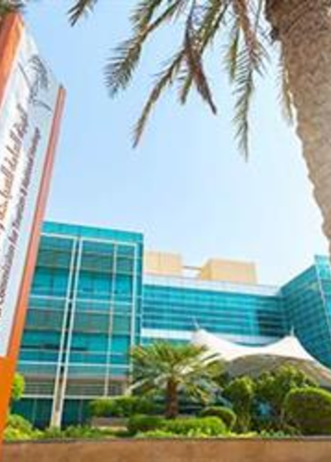 تعتبر السياحة رافدا رئيسيا من روافد الاقتصاد الوطني.