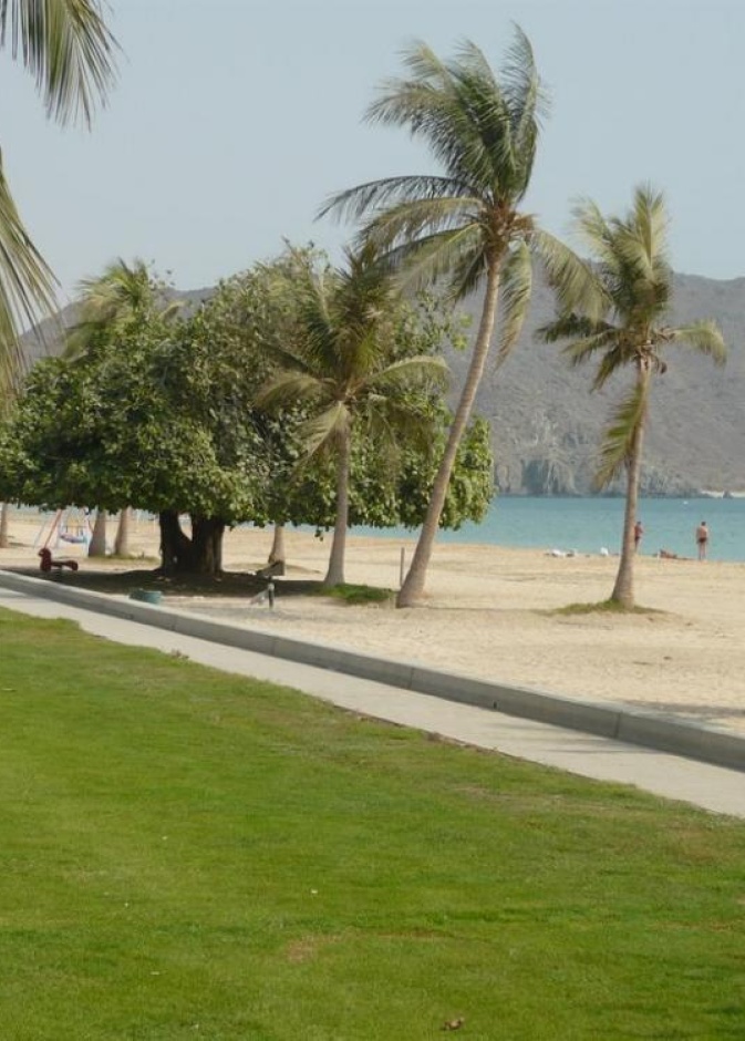 نظرة على مهرجان الشواطئ الأول في مدينة خورفكان