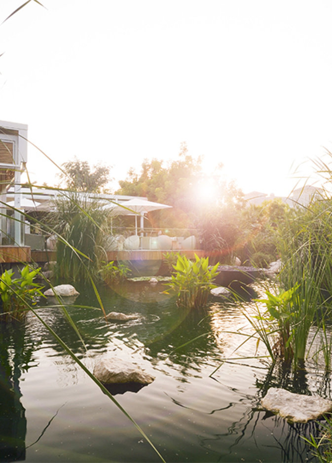 أفضل أماكن فطور الصباح مع إطلالات خلابة في دبي