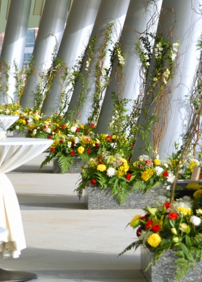 تجهيزات الزفاف الخارجي