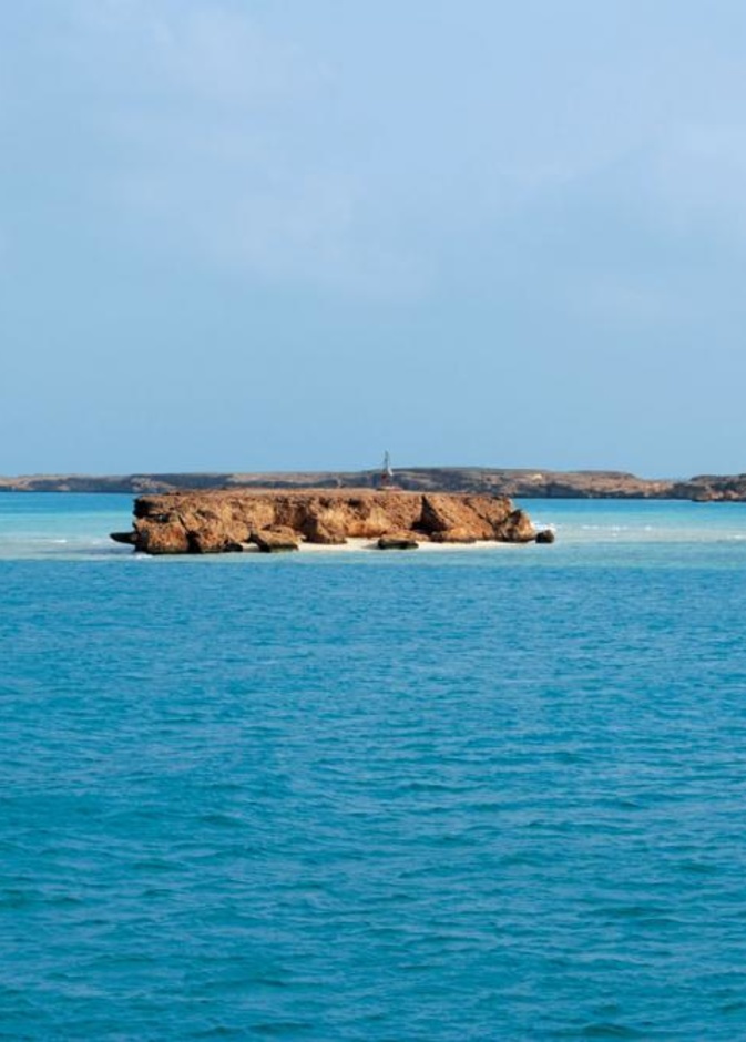 محمية جزر فرسان 